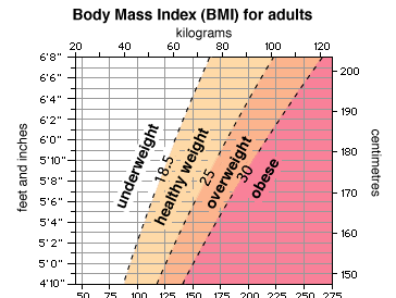 What Is BMI?